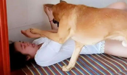 狗子交配视频,揭秘动物繁衍的自然奥秘