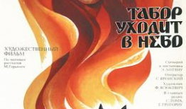 法国啄木鸟视频,自然界的敲击者与生态守护者