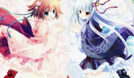 什么动漫,忍者世界的传奇征程