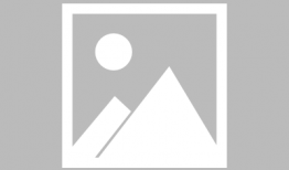 豚豚大魔王91直播,揭秘直播间的奇幻之旅